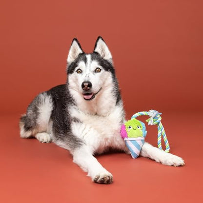 Fringe Studio Plush Dog Toy with Rope, Cone-FIDENCE is Yummy, Pet Shop Collection (314528) - color: Cone-Fidence Is Yummy