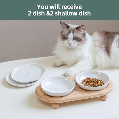 Havniva Cat Bowls Elevated 5.6” Ceramic Cat Bowl with Stand Whisker Friendly Cat Dishes, Cat Food & Water Bowl Set with Two Heights Options, Raised Cat Food Plates for Kitten Anti-Slip Pet Bowls - color: 2 Bowls+2 Shallow Dishes+Stand- White