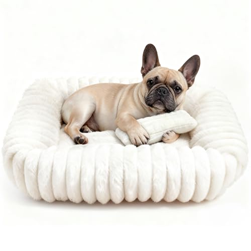 Dog Bed for Small Medium Size Dog, Washable Self Warming Dog Cat Beds for Indoor Cats Fluffy Rabbit Fur Pet Bed for Puppy and Kitten, Orthopedic Dog Cat Beds with Removable Cover & Anti-Slip Bottom - size: 28*22*8 inches