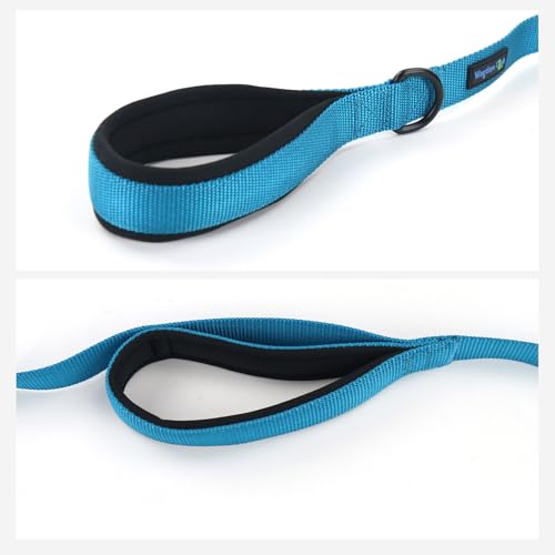 Wagtime Club Double Handle Dog Leash, 6ft Long Heavy Duty Dog Leash with Paded Traffic Handles for Extral Control and Training, Dual Handles Leads, Large Medium Small Dogs (Bright Blue) - color: Bright Blue