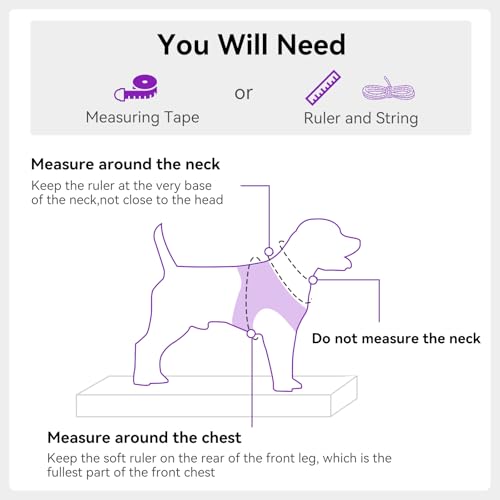 Joytale Small Dog Harness, Breathable Mesh Step-in Vest, Reflective Soft Padded Harnesses for Cats and Puppies Dogs, Purple, XXXS - color: Purple, size: XXXS--Chest: 10.5-12''
