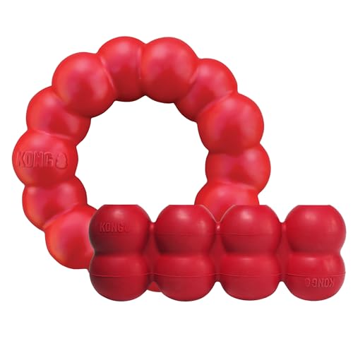 KONG Ring & Goodie Ribbon - Durable Rubber Treat-Dispensing Chew Toy for Dental Health - for Small Dogs - size: Small