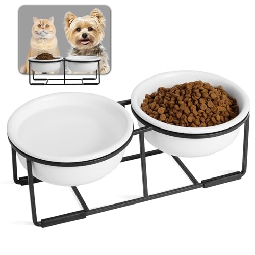 Ceramic Elevated Dog Bowl Set - Double Dog Food and Water Bowls with Metal Stand - Raised Pet Dishes for Puppies and Cats - 2 Cups - 12.5 fl oz - Matte White - color: Matte White, size: S-200ml