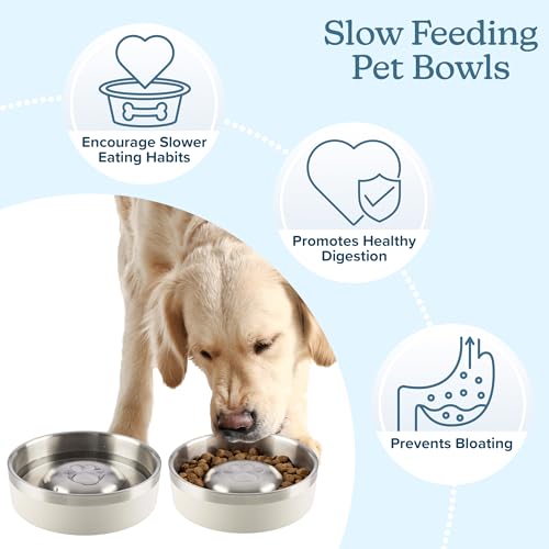 Set of 2 Stainless Steel Slow Feeder Dog Bowls - 30oz/3.75 Cups Double Wall Insulated Food and Water Bowls for Dogs - Non Slip Metal Pet Dishes for Small-Medium Sized Pets PETMAKER (Cream) - size: 30oz