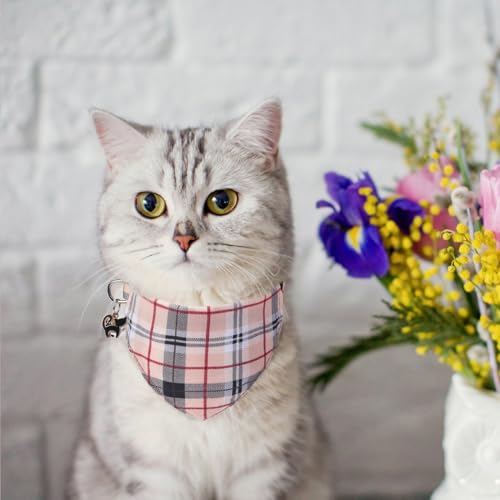 SCENEREAL Plaid Cat Collar with Bow Bandana - 2 Pack Breakaway Kitten Collar with Removable Bowtie Bell, Adjustable Cute Cat Collar for Cats Kittens, Beige - color: Bandanas & Bow (Plaid - Beige)