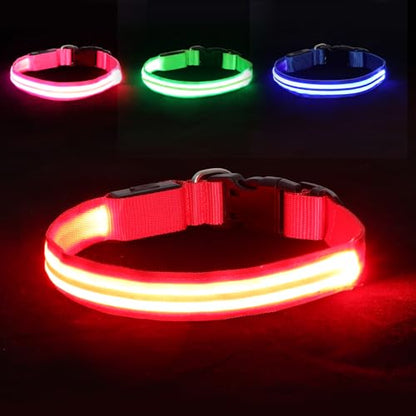 Neon LED Light Up Dog Collar for Night Walking, Rechargeable Safety Glow Illuminated Collar with 3 Modes Flashing, Reflective Adjustable Pet Light for Small/Medium Dogs Puppy 15-19" Neck (Red) - color: 1-Pack(Red)&Medium