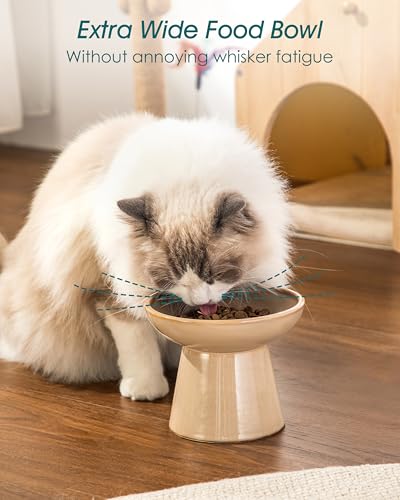 vancasso Elevated Cat Food Bowls 2-Pack, 6.2" Wide Shallow Cat Feeding Bowl for Whisker Fatigue, 5.1" Height Ceramic Raised Food Bowls for Senior Cats, Anti Vomit, Brown - color: Brown-Food 2-pack