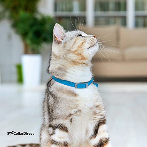 CollarDirect Leather Cat Collar with Removable Bell – Safety Elastic Strap (Breakaway Alternative) – Kitten Collar for Small & Big Boy & Girl Cats - color: Light Blue, size: Neck Fit 8"-11"