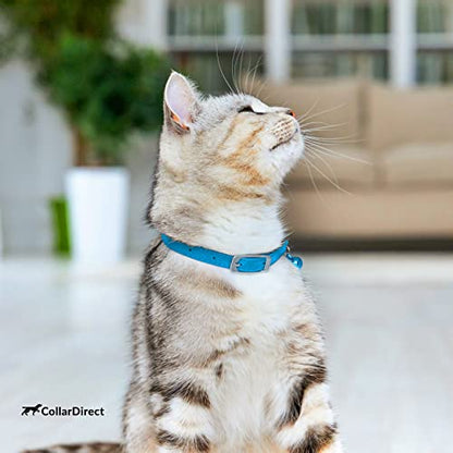 CollarDirect Leather Cat Collar with Removable Bell – Safety Elastic Strap (Breakaway Alternative) – Kitten Collar for Small & Big Boy & Girl Cats - color: Light Blue, size: Neck Fit 8"-11"