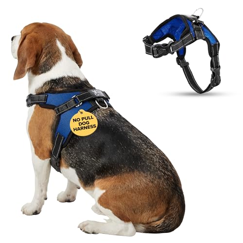 No Pull Reflective Adjustable Dog Harness With Handle- Comfortable Soft All Weather Mesh, Easy On Puppy Harness For Small Medium and Large Dogs (Blue) Medium - color: Blue, size: Medium