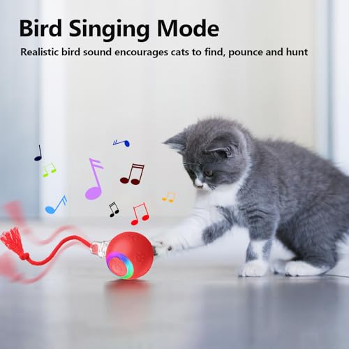 Interactive Cat Toy Ball with Red Tassel Tail, 3 Speed Modes Motion Activated Automatic Rolling Ball with Sound On/Off, USB Rechargeable Durable Toys for Cats & Kittens, Indoor Small Dogs - color: B -Red