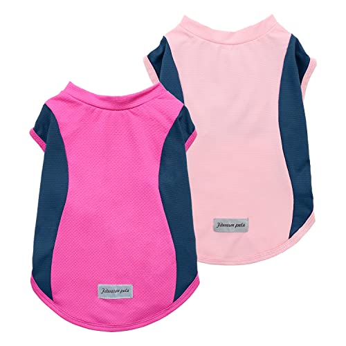 Fitwarm 2 Pack UPF 50+ UV Sun Protection Dog Shirt, Lightweight Breathable Cooling Vest, Quick Dry Dog Summer Clothes for Small Dogs Boy Girl, Reflective Label Pet Cat Outfit, Pink, XS - color: Rose Red-Pink, size: X-Small