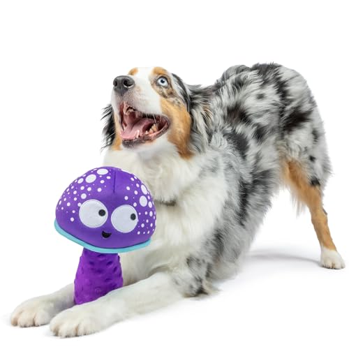 Huxley & Kent for Dogs | Mellow Mushroom (Small) | Funny Dog Toy | Power Plush Dog Toy with Squeaker | Dog Gift | Fun, Durable | H&K Squeaky Dog Toy, Purple, Blue - size: Small, style: Mellow Mushroom