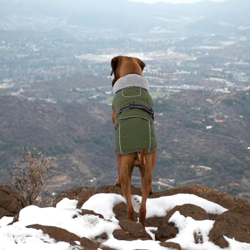 Lelepet Warm Dog Coat Reflective Fleece Vest Waterproof Dog Jacket with Adjustable Buckle Hook & Loop Windproof Cold Weather Coats for Small Medium Large Dogs, Army Green, S - color: Army Green, size: S