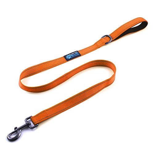 Max and Neo Small Dog Leash - Reflective Nylon, Donates to Dog Rescue (Orange, 4x5/8) - color: ORANGE, size: 4 FT x 5/8" Wide