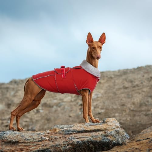 Lelepet Warm Dog Coat Waterproof Dog Jacket Reflective Fleece Vest with Adjustable Buckle Hook & Loop, Windproof Winter Jacket Dogs Coats for Small Medium Large Dogs, Red, S - color: Red, size: S