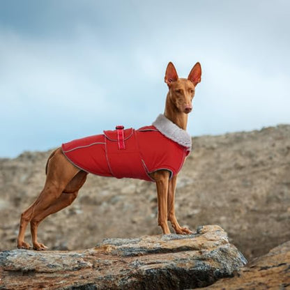 Lelepet Warm Dog Coat Waterproof Dog Jacket Reflective Fleece Vest with Adjustable Buckle Hook & Loop, Windproof Winter Jacket Dogs Coats for Small Medium Large Dogs, Red, S - color: Red, size: S