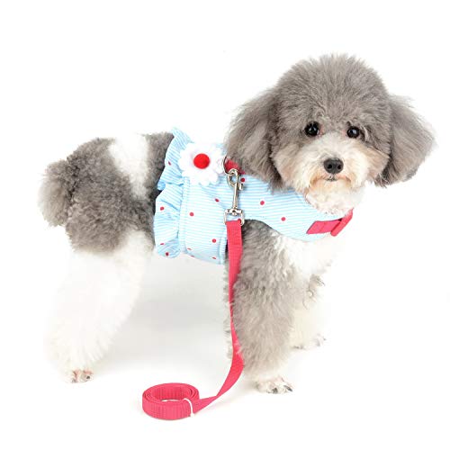 Zunea No Pull Small Dog Girl Harness Dress Escape Proof Cat Kitten Vest Harness Leash Set Step-in Soft Cotton Padded Striped and Flowers Printed Jacket Chihuahua Puppy Clothes for Walking Blue XS - color: blue daisy, size: XS (Chest:12.2-13.7", Neck:8.2-9