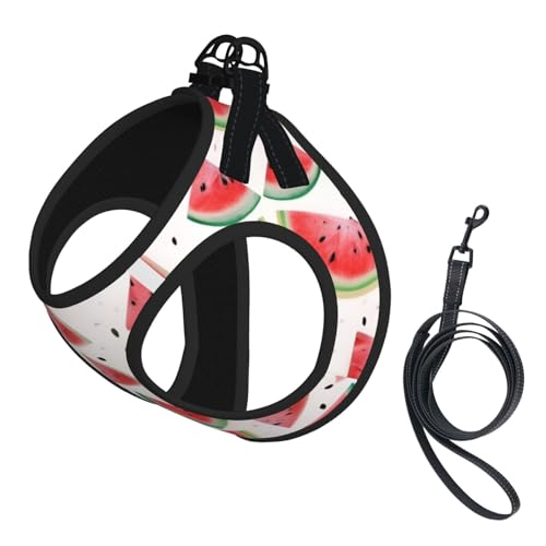 Watermelon Fresh Fruit Printing Dog Summer Harness,Soft Light Puppy Vest,Breathable Pet Harness Reflective for Easy Walking - color: With Accessories, size: Small