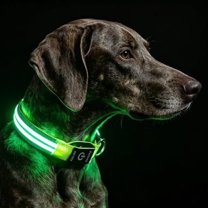 Dog Light up Collar for Night Walking - High Visibility LED Dog Collar - Rechargeable - Waterproof - Reflective - Adjustable Lighted Glow Collars(Green, Large) - color: Green, size: Large (18" - 23")