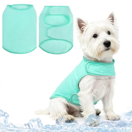 PUPTECK Dog Cooling Vest, Breathable Mesh PVA Dog Shirt, Lightweight Soft Instant Chill Sleeveless Pet Clothes, Adjustable Cooler Jacket Puppy Outfit for Hot Summer Outdoor, Green S - color: Green, size: Small
