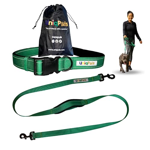 Hands-Free Leash for Small to Large Dogs 5ft - Heavy Duty Adjustable Waist Belt, Padded Handles, Reflective Stitching, Satin Carry Bag for Walking, Running, Hiking - color: Green