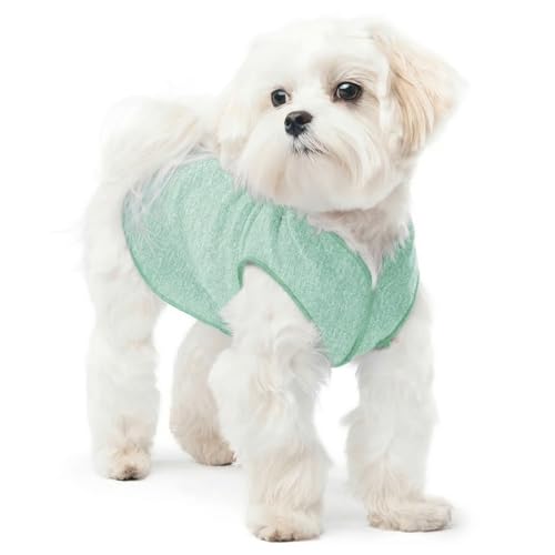Goldpaw Dog Sun Shirt with UV Protection - Lightweight, Cooling Sun Protection Clothing for Small Dogs - Reduce Heat Absorption - Made in The USA - Machine Washable - Pistachio Green - Size 8 - color: Pistachio Green, size: 8
