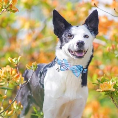BINGPET Dog Harness Collar Leash Set,Adjustable No Pull Escape Proof Small Dog Harness,Classic Plaid Puppy Harness and Leash Set for Small Medium Large Dogs Training Easy Walk Running(Blue,M) - color: Blue Plaid, size: M(Chest Girth:17.3''-23.38'')