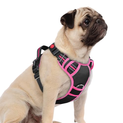rabbitgoo Dog Harness Small Sized, No Pull Dog Vest with 3 Buckles, Adjustable Soft Padded Pet Harness with Easy Control Handle and Reflective Strips, Black & Rose Pink, S - color: Black & Rose Pink, size: Small