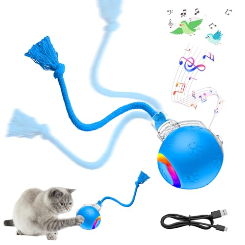 2-in-1 Automatic Moving Ball Cat Toy with Teaser Wand - Interactive Self-Moving Toy with Bird Sounds & LED Lights, Rechargeable Motorized Play for Indoor Cats to Chase, Exercise(Blue) - color: B -Blue