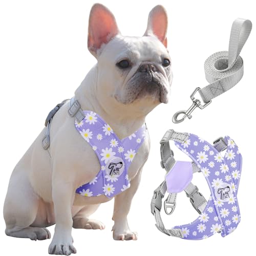 Pawaboo Small Dog Harness and Leash Set, Puppy Harness X-Frame No Pull No Choke, Dog Vest Harness Adjustable for Small Medium Sized Dogs,Soft Breathable Pet Harness for Walking Outing, L, Purple Daisy - color: B-Purple Daisy, size: L(Neck 17.3-20.5" Chest