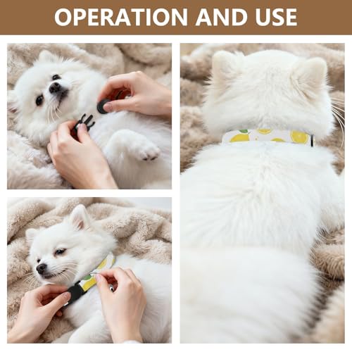 Small Dog Collar 2 Pack Cat Neck Collar Adjustable Length 10.6" to 17.1" - color: Yellow Lemons White