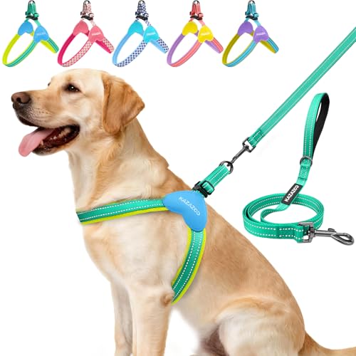 Kazazoo No Pull Small Dog Harness and Leash Set, Adjustable Puppy Soft Vest Harness with Breathable Mesh Padded, Reflective Lightweight Harness with Buckle for Small Medium Dogs, Green M - color: Green, size: M