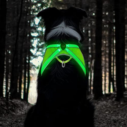 Light Up Dog Harness, High Visibility Led Dog Harness for Night Safety, USB Rechargeable Glowing Dog Harness for Night Walking, Flashing Dogs Harness for Small Medium Large Dogs (Green, S)