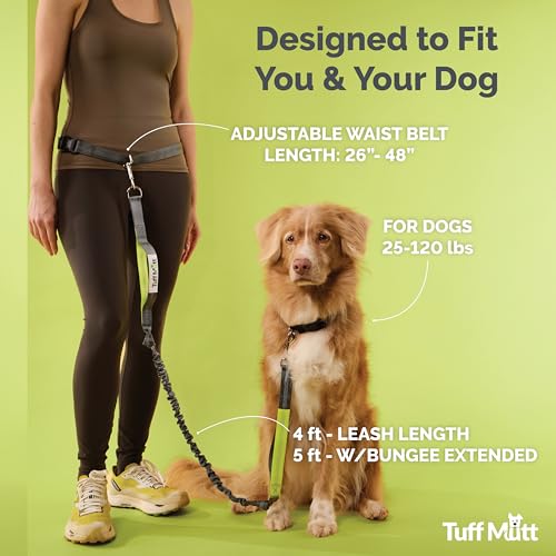 Tuff Mutt Hands Free Dog Leash for Walking Running Hiking, Waist Leash with Bungee, Adjustable Belt, Reflective Double Handle Design for Large Medium Dogs - color: Purple