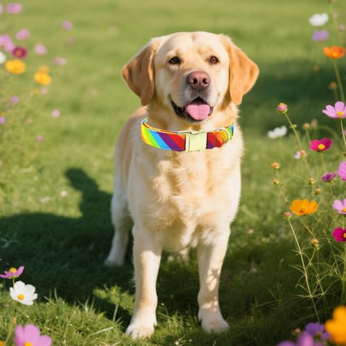 Tunkoo Rainbow Dog Collar with Metal Buckle - LGBTQ+ Pride Month, Soft Cotton Outer, Adjustable for Small/Medium/Large Dogs (Girls & Boys Pets), M - color: D - Rainbow, size: Medium