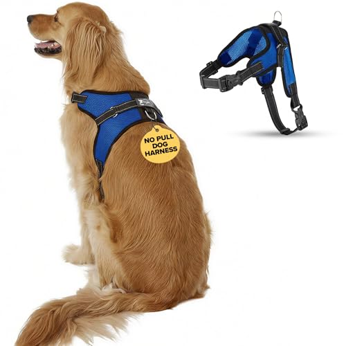 No Pull Reflective Adjustable Dog Harness with Handle- Comfortable Soft All Weather Mesh, Easy On Puppy Harness for Small Medium and Large Dogs (Blue) Large - color: Blue, size: Large