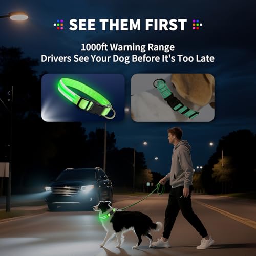 Dog Light up Collar for Night Walking - High Visibility LED Dog Collar - Rechargeable - Waterproof - Reflective - Adjustable Lighted Glow Collars(White,Medium) - color: White, size: Medium (14" - 19" )