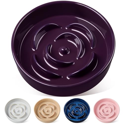 vancasso Slow Feeder Dog Bowl, 3 Cups Ceramic Slow Feeder for Large Breed, Puzzle Maze Dog Food Bowl for Fast Eater, Dark Purple - color: Dark Purple, size: L - 3 Cups