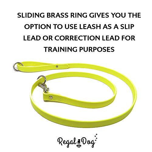 Regal Dog Products Waterproof Leash – 5 ft. Yellow Dog Leash with Easy to Use Collar Hook, Lightweight, and Proof Training Pet Lead with Vinyl-Coated Webbing for Small, Medium, Large, or XL Dogs - color: Yellow