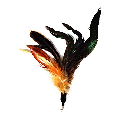 Pet Fit for Life Multi Piece Replacement Feathers Pack Plus Bonus Soft Furry Tail for Interactive Cat and Kitten Toy Wands… - style: 5 Feathers, 1 Tail