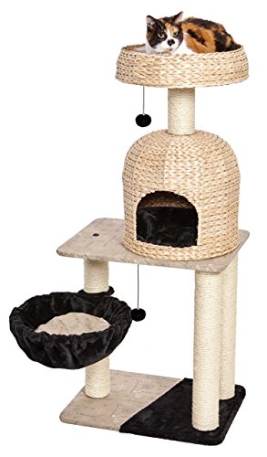 MidWest Homes for Pets Cat Tree | Reid Cat Furniture, 3-Tier Cat Activity Tree w/Sisal Wrapped Support Scratching Posts & Dangle Play Balls, Woven Rattan & Script Medium Cat Tree - size: Reid Woven Rattan/Script