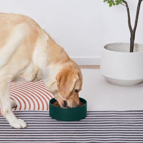YINGFAN Dog Bowls Heavy Duty Ceramic Dog Bowls Non-Slip Ceramic Basic Bowl for Dogs (28 oz) - color: Green