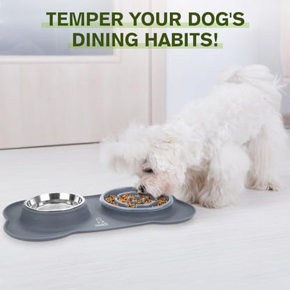 Pecute Slow Feeder Dog Bowls to Slow Down Eating, Dog Bowl Slow Feeder with No-Spill Non-Skid Silicone Mat, Food-Grade Safe Dog Food Bowls Slow Feeder, Stainless Steel Dog Water Bowl for Dogs Cats - size: Large-2 Cup/17 oz each