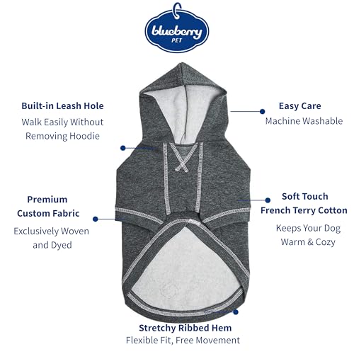 Blueberry Pet Essentials Soft & Comfy Better Basic Cotton Blend Dog Hoodie Sweatshirt in Charcoal Grey, Back Length 16", Pack of 1 Jacket for Dogs - color: Dog Hoodie - Charcoal Grey, size: 16 inch (Pack of 1)