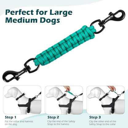 Dog Collar Safety Clip, Handmade Backup Safety Strap for Dog Harness, Prong, Pinch Collar, Double Ended Clasp Leash Connector (Turquoise) - color: Turquoise