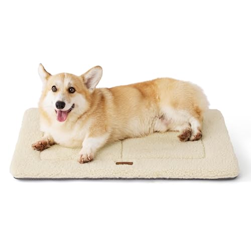Bedsure Washable Dog Crate Bed for Medium Dogs, Soft Foam Floor Pet Mat, Versatile Lightweight Pet Crate Pad for Kennel - color: Beige, size: 29x21 in