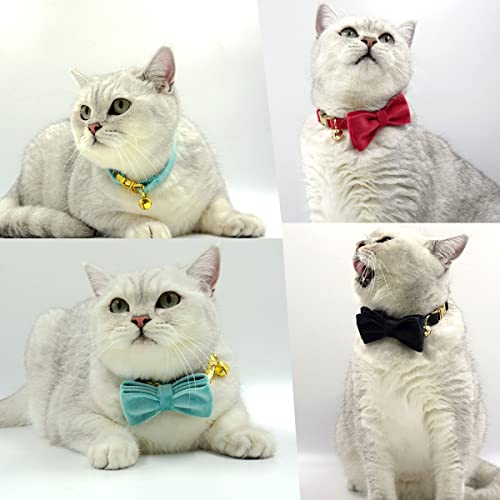 Personalized Cat Collar with Engraved Name and Phone Number - Customizable Kitten Collars for Boys and Girls (Velvet) - color: Velvet