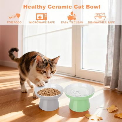 Elevated Cat Bowls,2 Pcs Ceramic Raised Cat Food Bowls with Non-Slip Base,Whisker-Friendly Shallow Design,Lead & Cadmium Free Pet Feeder,Dishwasher and Microwave Safe (Green&Light-Grey) - color: Green&Light-Gray