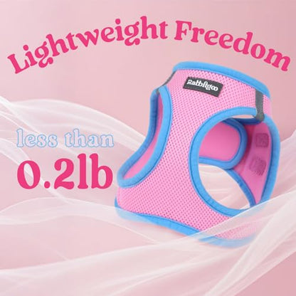 rabbitgoo Dog Harness Small Sized and Leash Set, Step-in Breathable Pet Harness, Soft Walking Reflective Puppy Vest for Small Dogs, Pink & Light Blue, XS - color: Pink & Light Blue, size: XS (Chest: 13.3 - 15.5")